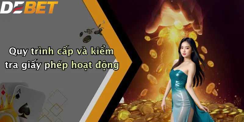 Quy trình cấp và kiểm tra giấy phép hoạt động